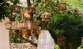 Homestay Bookings